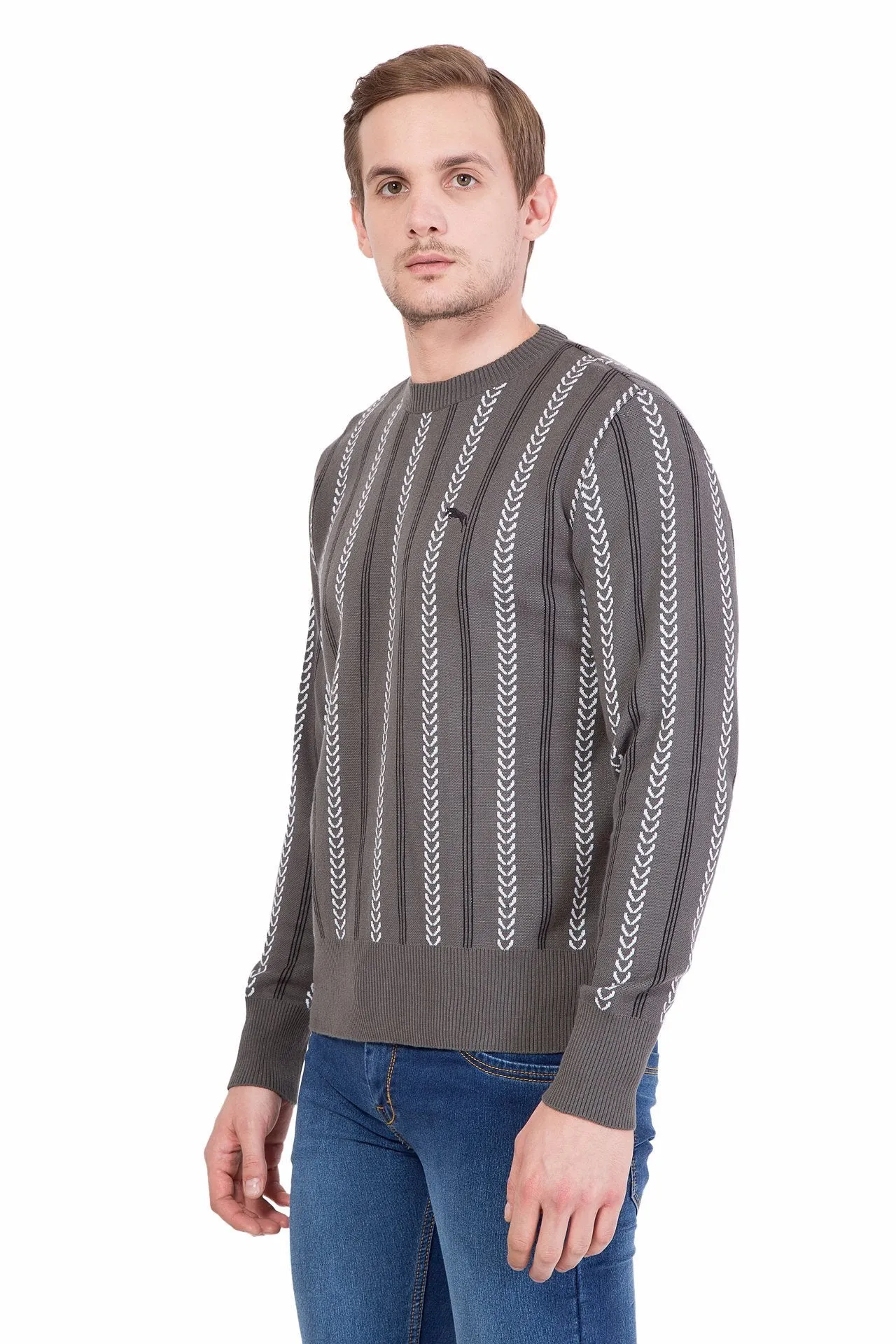 Men Full Sleeve Cotton Sweater