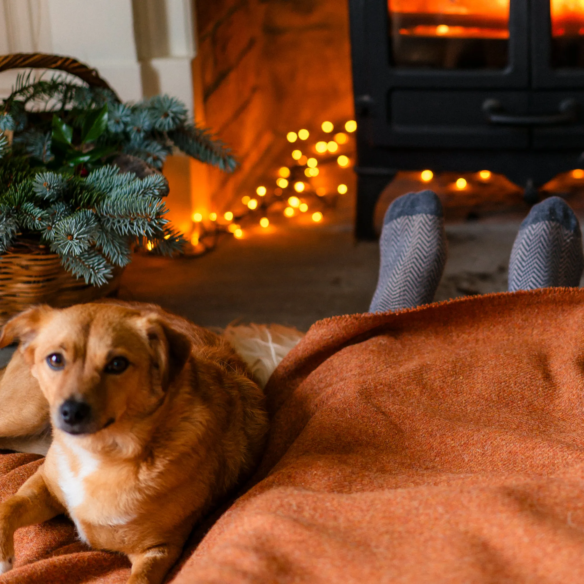 Terracotta Wrap Blanket